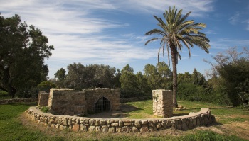 מסלולי טיול - גן לאומי אשקלון