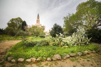 גני הטבע תל אביב - לגדול